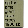 Ng Fprl Ame Giant Cave Crocs 1900 Sb door Warin