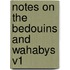 Notes on the Bedouins and Wahabys V1