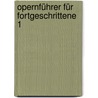 Opernführer für Fortgeschrittene 1 door Ulrich Schreiber