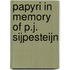Papyri in Memory of P.J. Sijpesteijn