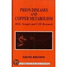 Prion Diseases And Copper Metabolism by David Brown