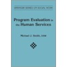 Program Evaluation in Human Services door Michael J. Smith