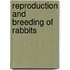 Reproduction And Breeding Of Rabbits