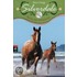 Silverdale 03. Rettet die Wildpferde