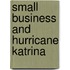 Small Business and Hurricane Katrina