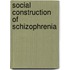 Social Construction Of Schizophrenia
