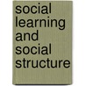Social Learning and Social Structure door Ronald Louis Akers