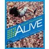Social Psychology Alive [with Cdrom]