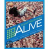 Social Psychology Alive [with Cdrom] door James Olson