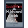 Social Work with Multicultural Youth door Diane De Anda