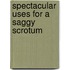 Spectacular Uses For A Saggy Scrotum