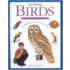 Spotting Birds In Britain And Europe
