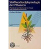 Stoffwechselphysiologie der Pflanzen door Gerhard Richter