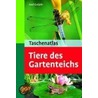 Taschenatlas. Tiere des Gartenteichs door Axel Gutjahr