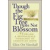Though The Fig Tree Does Not Blossom