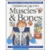 Understanding Your Muscles And Bones