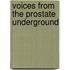 Voices From The Prostate Underground