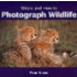 Where And How To Photograph Wildlife