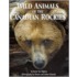 Wild Animals Of The Canadian Rockies
