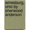 Winesburg, Ohio By Sherwood Anderson door Sherwood Anderson