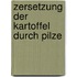 Zersetzung Der Kartoffel Durch Pilze