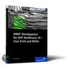 Abap Development For Sap Netweaver Bi door Dirk Herzog