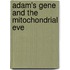 Adam's Gene And The Mitochondrial Eve