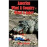 America What A Country - What A Joke! by Cyrus Yassai