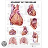 Anatomy Of The Heart Anatomical Chart by Anatomical Chart Company