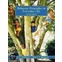 Behaviour Principles In Everyday Life
