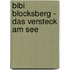 Bibi Blocksberg - Das Versteck am See