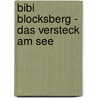 Bibi Blocksberg - Das Versteck am See by Matthias von Bornstädt