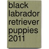 Black Labrador Retriever Puppies 2011 door Onbekend