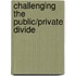 Challenging The Public/Private Divide