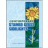 Contemporary Stained Glass Sidelights