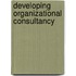 Developing Organizational Consultancy