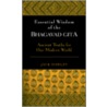 Essential Wisdom of the Bhagavad Gita door Jack Hawley