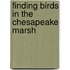 Finding Birds In The Chesapeake Marsh