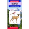 Glacier National Park Birds & Mammals by Unknown