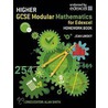 Higher Gcse Modular Maths For Edexcel by Jean Linsky