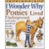 I Wonder Why Ponies Lived Underground