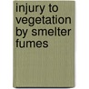 Injury To Vegetation By Smelter Fumes by John Kerfoot Haywood