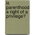 Is Parenthood A Right Of A Privilege?
