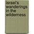Israel's Wanderings In The Wilderness
