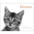 Kittens Notecards [With 20 Envelopes]