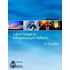 Labor Issues In Infrastructure Reform