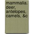 Mammalia. Deer, Antelopes, Camels, &C