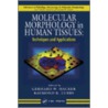 Molecular Morphology in Human Tissues door Gerhard W. Hacker