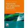 Natürliche und pflanzliche Baustoffe by Gerhard Holzmann