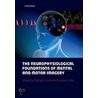 Neurophys Found Mental Motor Imager C door Christian Collet